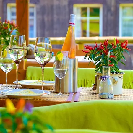 Pensjonat & Restaurant Krakonos Harrachov