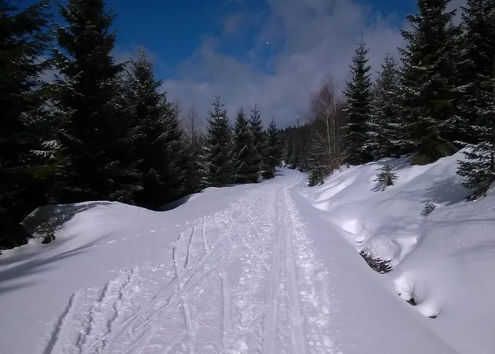 Penzion Pension&restaurant Krakonoš 3*